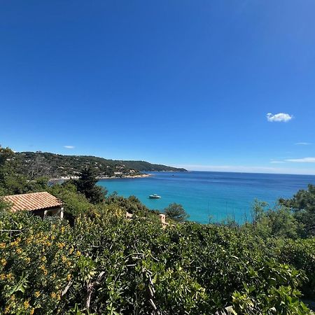 Terrasse Au Calme - Vue Verdoyante - A 7 Min De La Plage - Parking Inclus لا كروا فالميه المظهر الخارجي الصورة